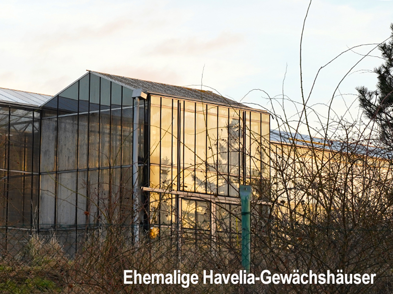 Ehemalige Havelia-Gewächshäuser